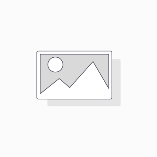 [HR-5685-YEL] New Driver Car Magnet