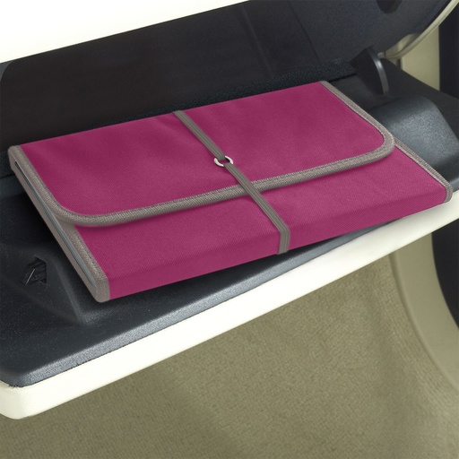 Glove Box Organizer