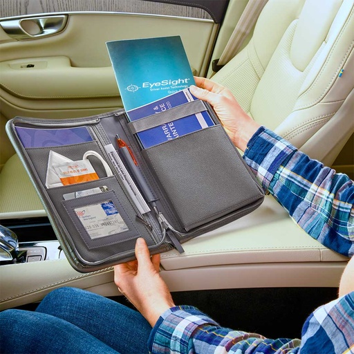 Glove Compartment Organizer