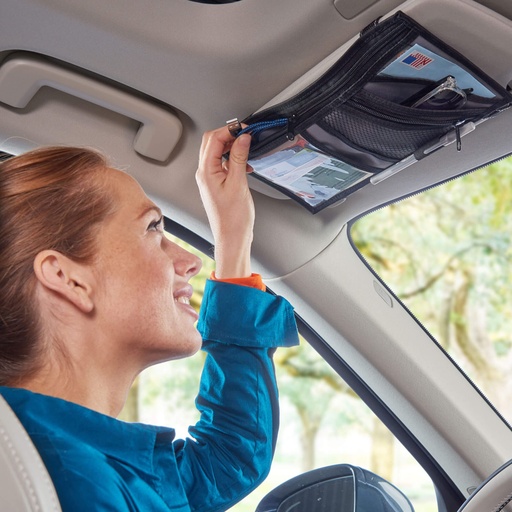 Visor Organizer